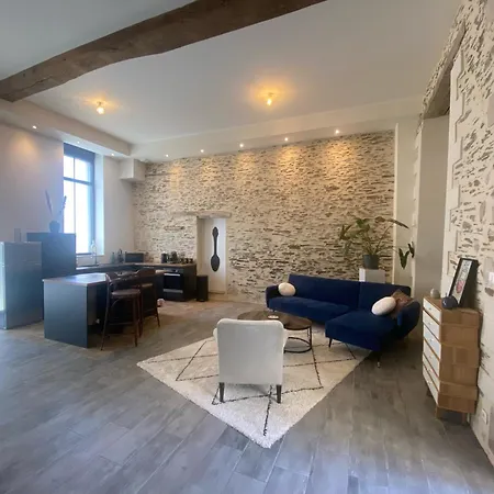 La Sellerie - Loft De Luxe Au Coeur D'angers * Angers
