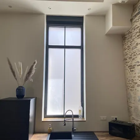 La Sellerie - Loft De Luxe Au Coeur D'angers * Angers