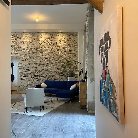 La Sellerie - Loft De Luxe Au Coeur D'angers Apartment *