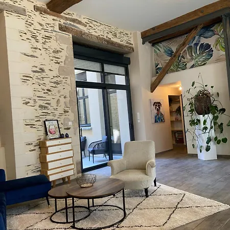 La Sellerie - Loft De Luxe Au Coeur D'angers *